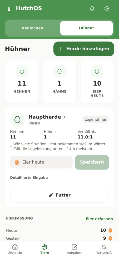Übersicht einer Hühnerherde in HutchOS: Legeleistung, Hennenzahl und Verhältnis zum Hahn